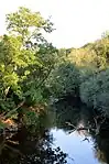 Blick von der Brücke in das Landschaftsschutzgebiet stromabwärts