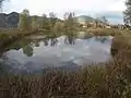 Namenloser Teich in Mündungsnähe