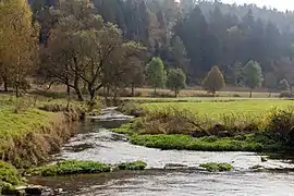 Breitenbrunner Laber bei Breitenbrunn