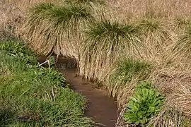 Bachlauf im Unterhang