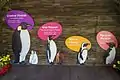 Schautafel im Jurong Bird Park