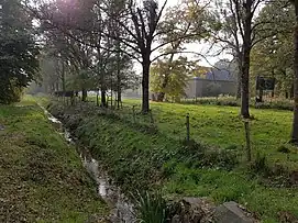 Auenlandschaft Retersbeek