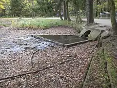 Zulauf des Fischbachs in den Valznerweiher