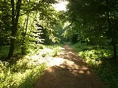 Waldpark