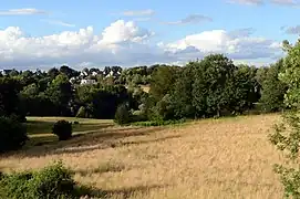 Tier-Wanderkorridor in den Siepen des oberen Lottentals in Bochum-Stiepel