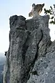 Steinerne Agnes, gesehen von Osten