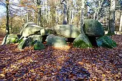 Das Großsteingrab D11 bei Anloo