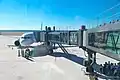 Der Citilink-Airbus an der Fluggastbrücke