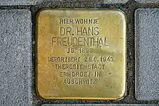 „Hier wohnte Dr. Hans Freudenthal“;Stolperstein vor dem Eingang Hasenberg 1 für den nach Theresienstadt Deportierten und 1943 im Konzentrationslager Auschwitz Ermordeten