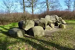 Das Großsteingrab D52 bei Diever