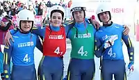 Teamstaffel Ukraine