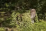 Blumenkorb