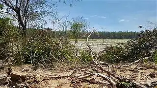 In der Aldeia Maucola