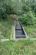 Zulauf des Langwassers in den See