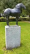 Paard