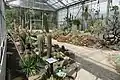 Botanischer Garten, Blick ins Gewächshaus
