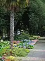 Botanischer Garten, Hanfpalme und Blumenbeete.