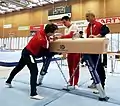 Einrichtung des Seitpferdes durch das Team Österreich