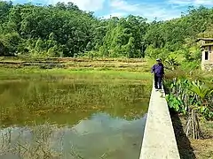 Aufgestauter Teich, nahe dem Lago Seloi