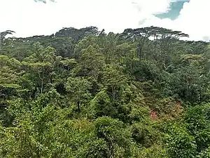 Landschaft in Mertuto
