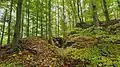 v.li.n.re.: Wall, Halsgraben mit Versturz und Burgfelsen