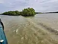 Fluss Mäander bei Murighiol