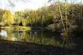 Heutiger Teich in der Nähe der ehemaligen Mühle