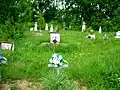 Eichenthaler Friedhof 2009
