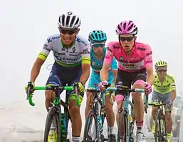 Esteban Chaves, Steven Kruijswijk, Vincenzo Nibali und Rafał Majka im Anstieg zum Colle dell’Agnello. Ein Sturz in der Abfahrt machte Kruijswijks Chancen auf den Sieg der Rundfahrt zunichte.