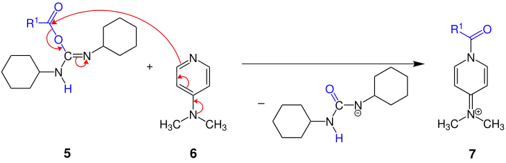 Teilschritt des Mechanismus der Steglich-Veresterung