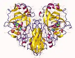 Sulfitoxidase