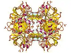 Trypsin-1