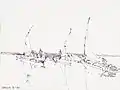 Kenia08-1985