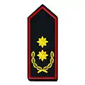 Brandinspekteur/-in