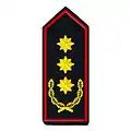 Landesbrandinspekteur/-in