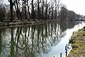Vorgelagerter Mühlenteich
