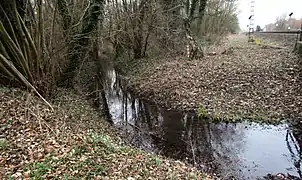 Trietbach bei  Engbrück