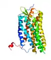 CXCR4