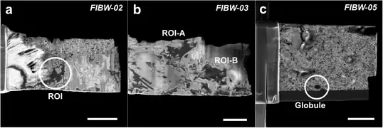 FIB-REM-Mikrofotografien mit hoher Vergrößerung von extrahierten Lamellen