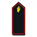 Beauftragte/-r für die Jugendfeuerwehr, Ebene Kreis