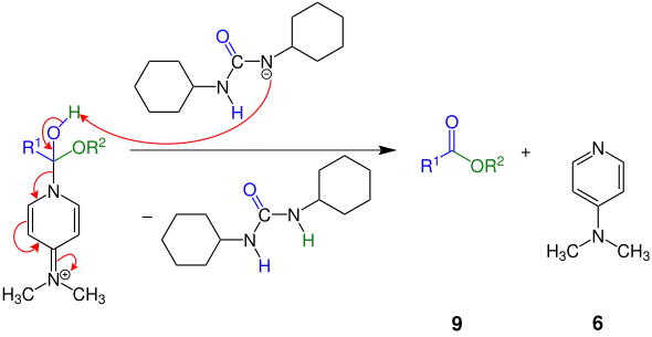 Teilschritt des Mechanismus der Steglich-Veresterung