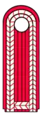 Oberfeuerwehrmann/-frau