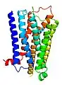 5-HT1A-Rezeptor