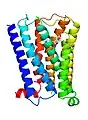 5-HT1E-Rezeptor