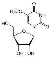 Strukturformel von 5-Methoxyuridin