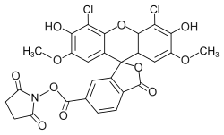 Struktur von 6-Carboxy-4′,5′-dichlor-2′,7′-dimethoxyfluorescein-N-succinimidylester