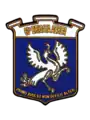 Wappen 60º Stormo/60ª B.A. (Guidonia)