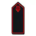 Feuerwehrmusiker/-in