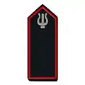 Leiter/-in des Musikzuges oder Stabführer/-in