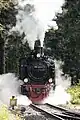 99 6101 bei der Einfahrt Schierke